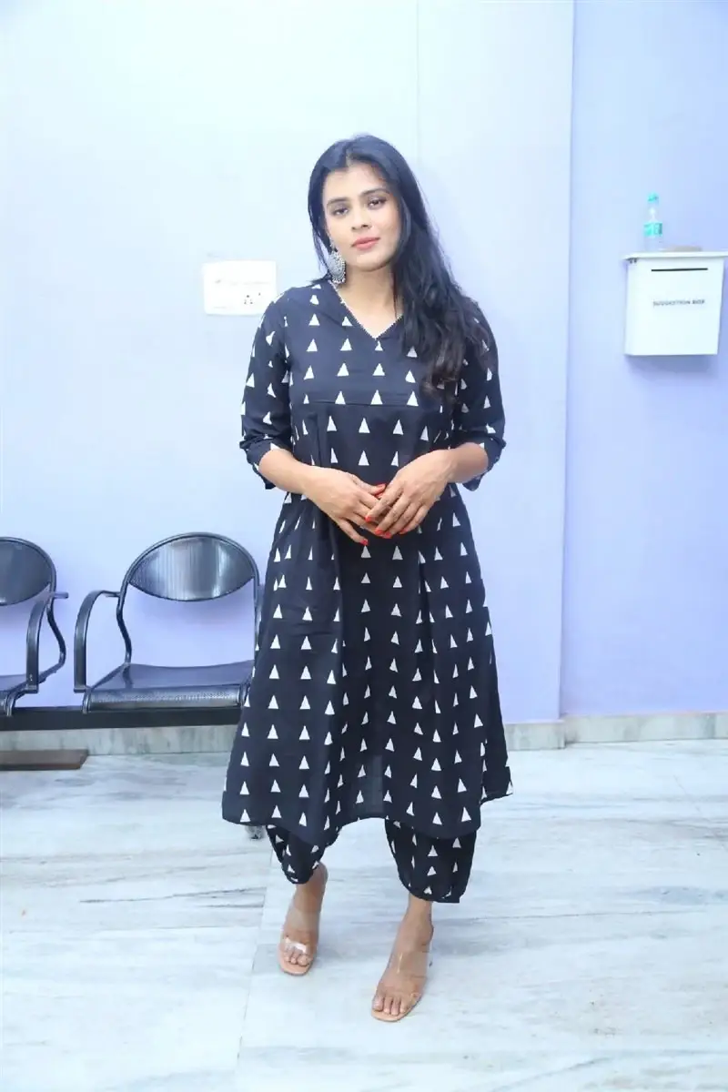 TELUGU ACTRESS HEBAH PATEL AT VYAVASTHA WEB SERIES THANKS MEET 11